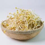 もやし 酸っぱい匂い