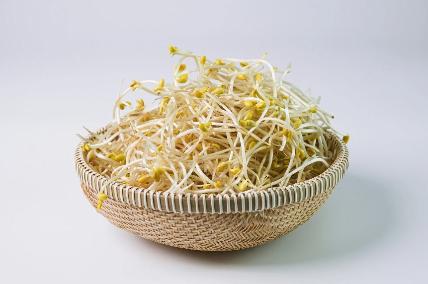 もやし 酸っぱい匂い