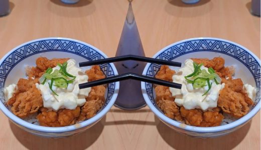 吉野家 サイズ徹底比較｜並盛・大盛・特盛・小盛の違いと選び方