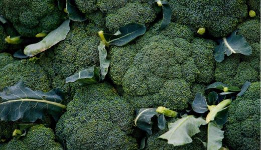 ブロッコリー 黒い原因と食べても大丈夫な見分け方