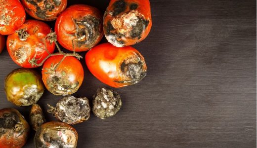 トマト カビに注意！食べられるかの見分け方と安全な対処法