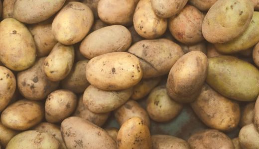 じゃがいも 緑 うっすらは食べても大丈夫？原因と安全な見分け方を解説