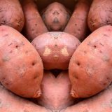 さつまいも 赤い